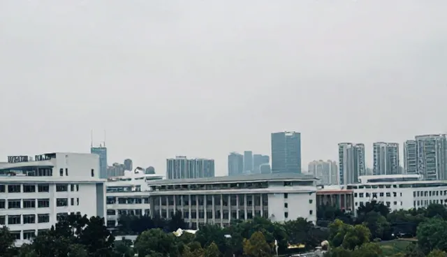 采购供应中的性能与适用条件选择策略