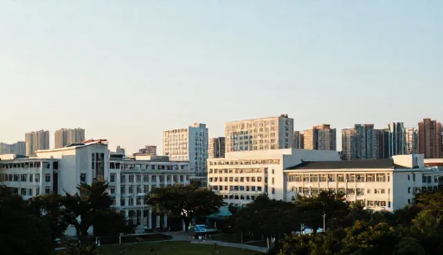 网站建设改版:企业黄页展示平台的优化路径